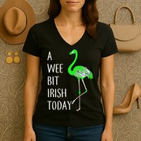A Wee Bit Irish Today Flamingo Women's V-Neck T-Shirt