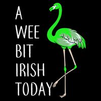 A Wee Bit Irish Today Flamingo Women's V-Neck T-Shirt