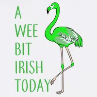 A Wee Bit Irish Today Flamingo Garment-Dyed Sweatshirt