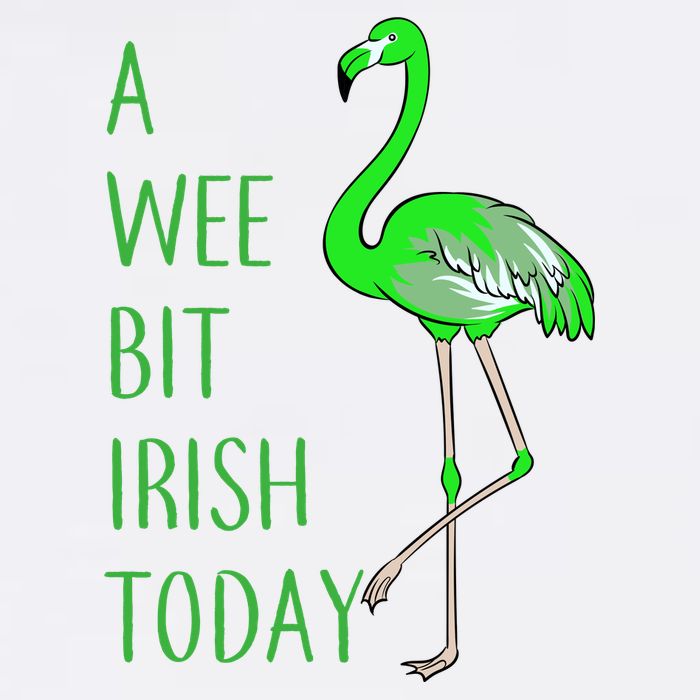 A Wee Bit Irish Today Flamingo Garment-Dyed Sweatshirt