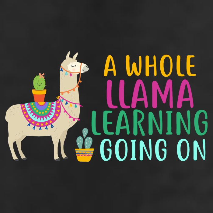 A Whole Llama Learning Going On Hat