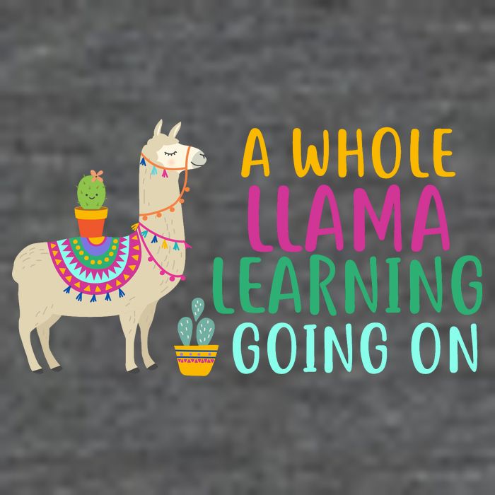 A Whole Llama Learning Going On Flat Bill Trucker Hat