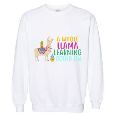 A Whole Llama Learning Going On Garment-Dyed Sweatshirt