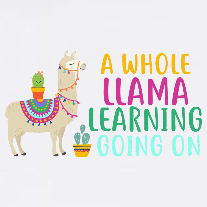 A Whole Llama Learning Going On Garment-Dyed Sweatshirt