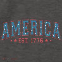 America 1776 Vector Backpack