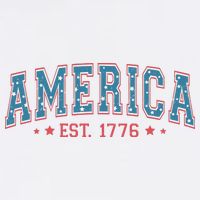 America 1776 Doggie Tank