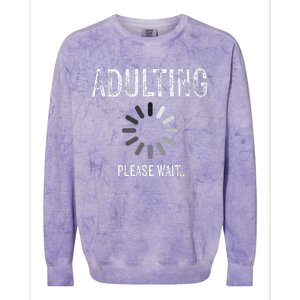 Adult 18th Birthday Gifts For 18 Years Old Colorblast Crewneck Sweatshirt