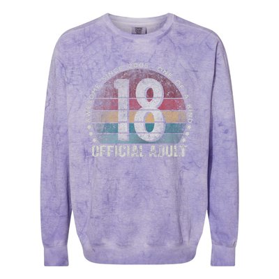 Adult 18th Birthday 18 Year Old Gifts Vintage 2005 Cute Colorblast Crewneck Sweatshirt