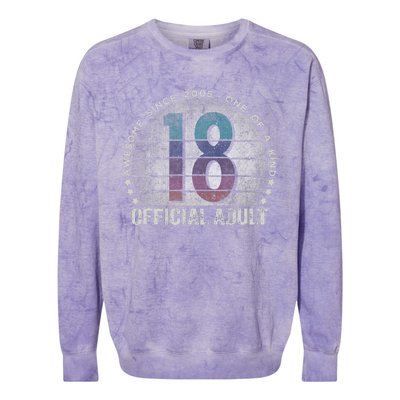 Adult 18th Birthday 18 Year Old Gifts Vintage 2005 Love Colorblast Crewneck Sweatshirt