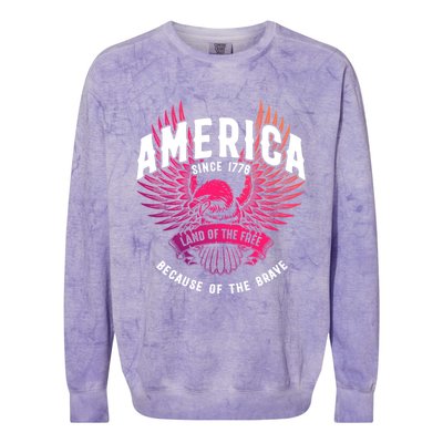 America 1776 Land Of Free Because Of The Brave Usa Eagle Funny Gift Colorblast Crewneck Sweatshirt