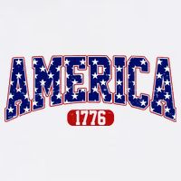America 1776 Retro 4th Of July Independence Day  Poster