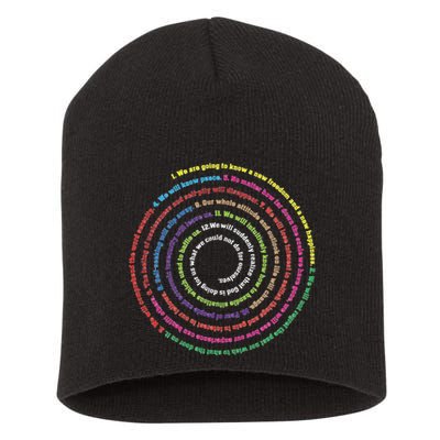 Aa 12 Step Recovery Definition Of Insanity Short Acrylic Beanie