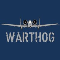 A 10 WartHog Attack Jet A 10 Thunderbolt Infant Baby Jersey Bodysuit