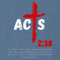 Acts 238 Baptized In Jesus Name Cross Pentecostal Apostolic Garment-Dyed Sweatshirt