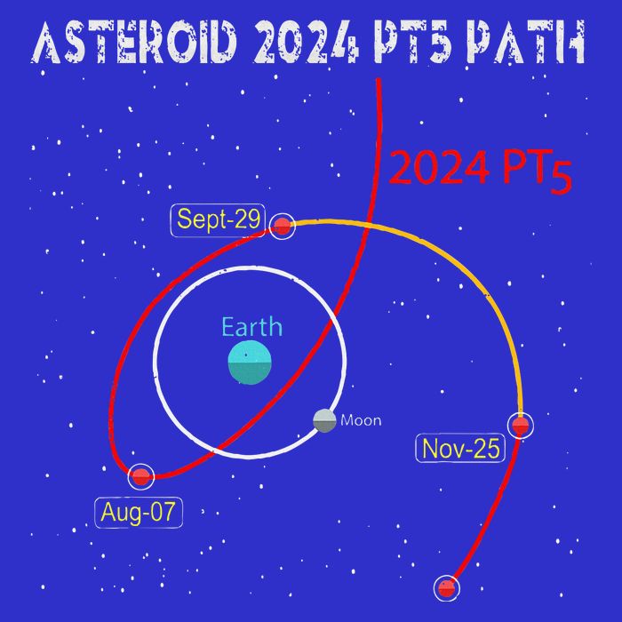 Asteroid 2024 Pt5 Path Mini Moon Dates Space 16 in Basic Backpack