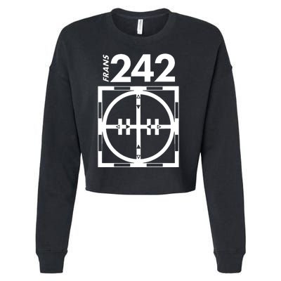 Another 242 T 4 Frans Cropped Pullover Crew