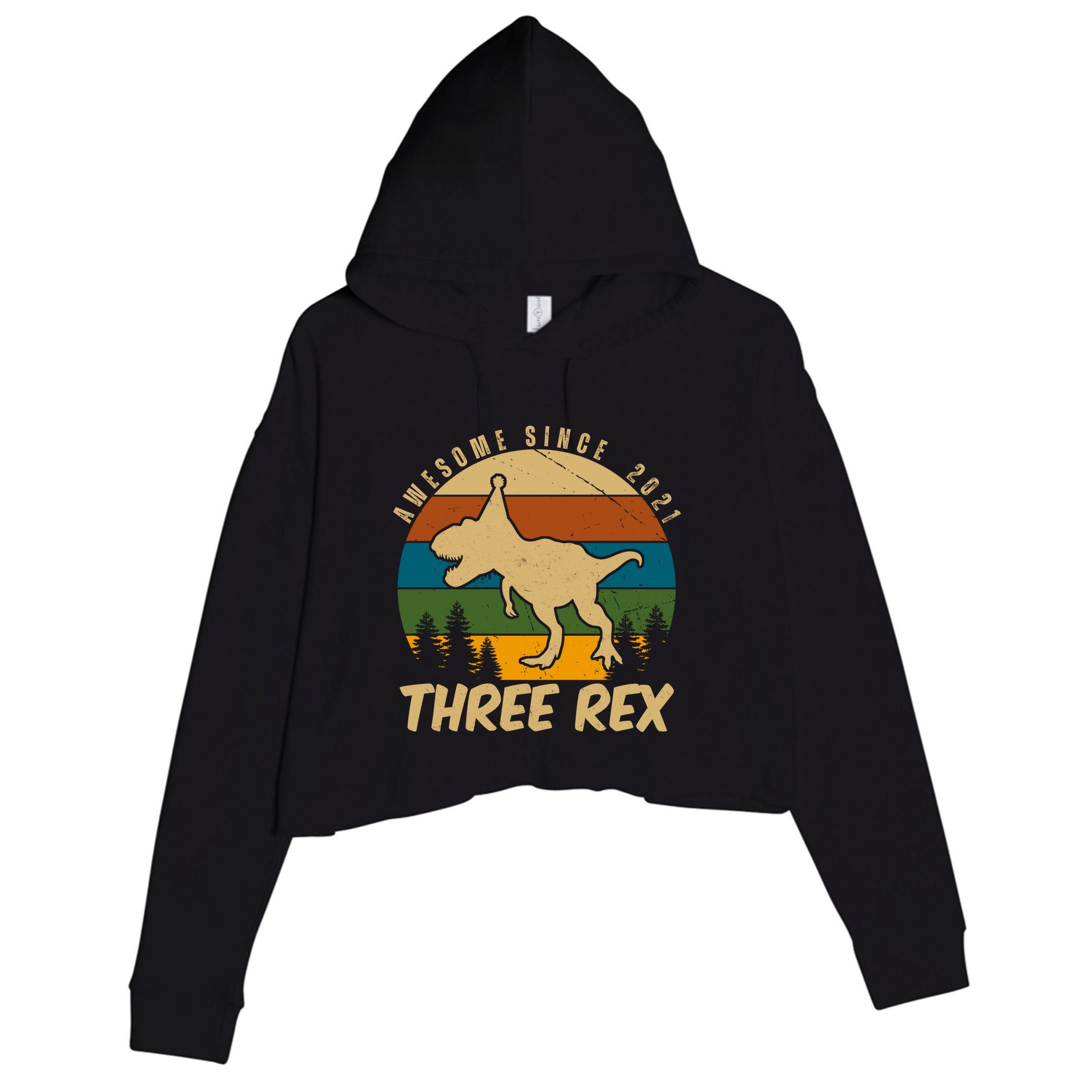 Awesome 3rd Birthday Dinosaur Gift Crop Fleece Hoodie