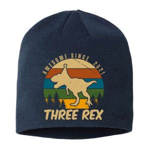 Awesome 3rd Birthday Dinosaur Gift Sustainable Beanie