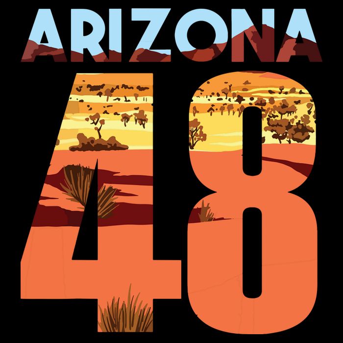 Arizona 48th State Souvenir Arizona 48 Cactus T-Shirt