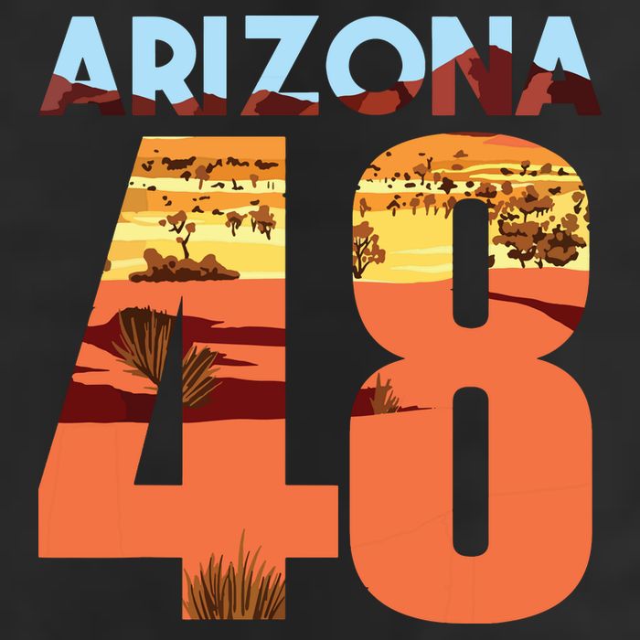 Arizona 48th State Souvenir Arizona 48 Cactus 11oz C Handle Ceramic Mug