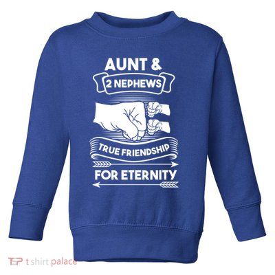 Aunt And 2 Nephews True Friendship For Eternity Aunts Nieces Funny Gift Toddler Sweatshirt
