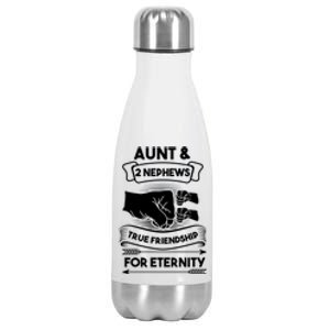 Aunt And 2 Nephews True Friendship For Eternity Aunts Nieces Funny Gift Stainless Steel Insulated Water Bottle