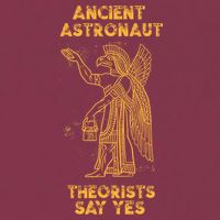 Anunnaki Ancient Astronaut Theorists Say Yes Sumerian Alien 16oz Travel Tumbler