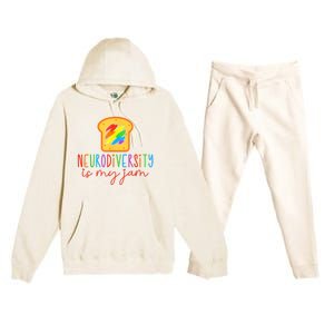 Autism Awareness Acceptance Neurodiversity Is My Jam Women Premium Hooded Sweatsuit Set