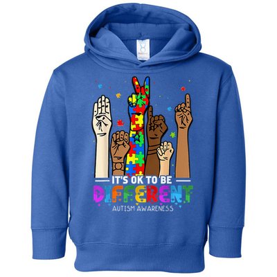 Autism Awareness Acceptance Wo Kid Its Ok To Be Different Toddler Hoodie
