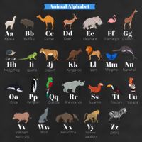 Animal Alphabet Cool Comfort Performance Bucket Hat