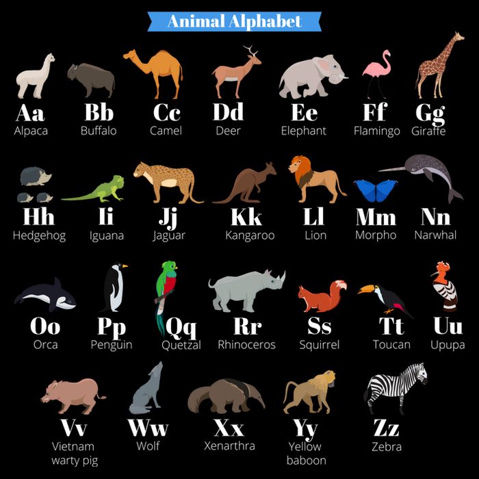 Animal Alphabet Cooling Performance Crew T-Shirt