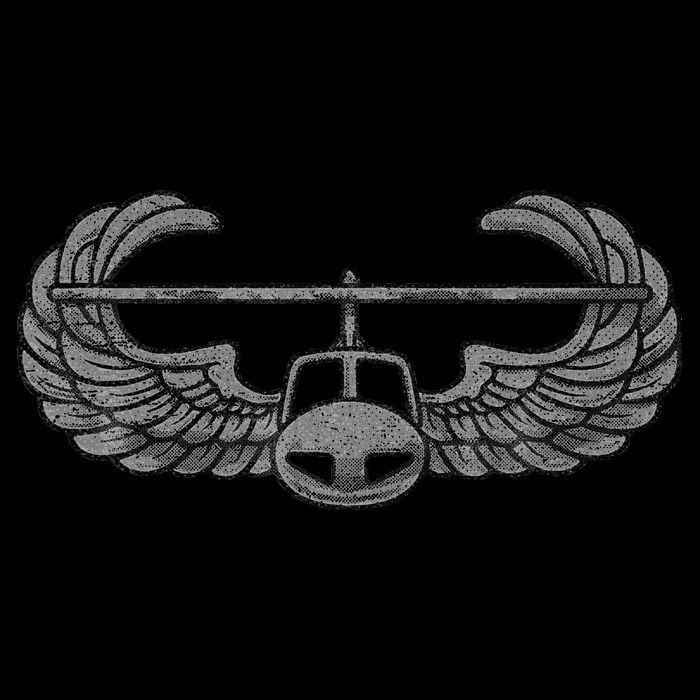 Army Air Assault Badgeinsignia 16 in Basic Backpack
