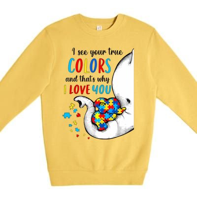 Autism Awareness Acceptance I See Your True Colors Premium Crewneck Sweatshirt