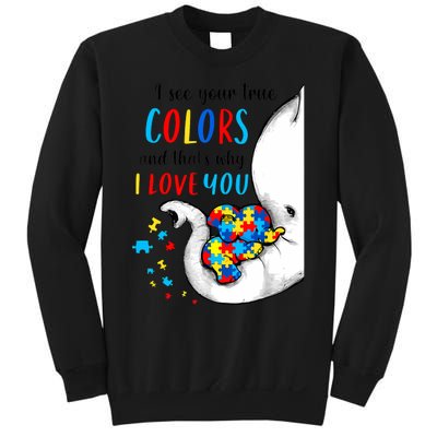 Autism Awareness Acceptance I See Your True Colors Sweatshirt