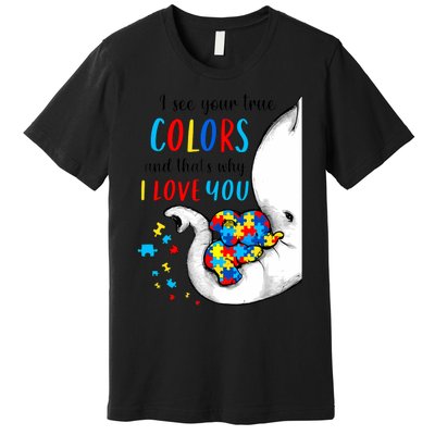 Autism Awareness Acceptance I See Your True Colors Premium T-Shirt