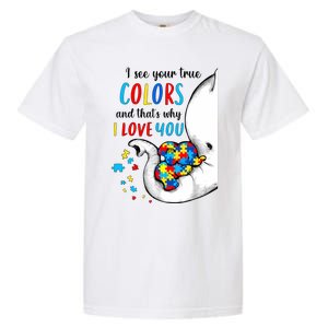 Autism Awareness Acceptance I See Your True Colors Garment-Dyed Heavyweight T-Shirt