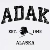 Adak Alaska Ak Vintage Athletic Sports Design Toddler T-Shirt