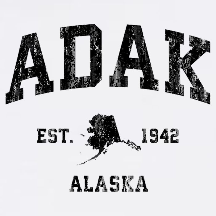 Adak Alaska Ak Vintage Athletic Sports Design Toddler T-Shirt