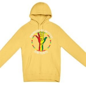 African American Ancestry Black Pride Juneteenth Party Meaningful Gift Premium Pullover Hoodie