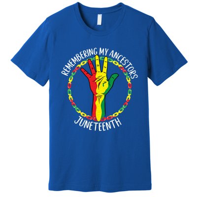 African American Ancestry Black Pride Juneteenth Party Meaningful Gift Premium T-Shirt