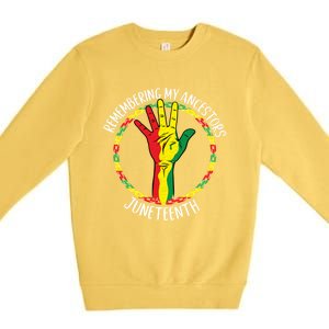 African American Ancestry Black Pride Juneteenth Party Gift Premium Crewneck Sweatshirt