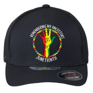 African American Ancestry Black Pride Juneteenth Party Gift Flexfit Unipanel Trucker Cap