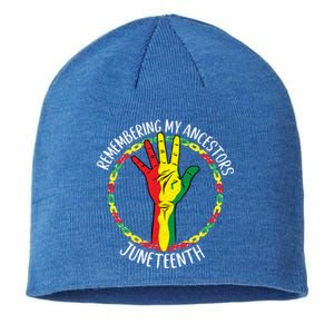 African American Ancestry Black Pride Juneteenth Party Gift Sustainable Beanie