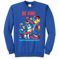 Autism Awareness Be Kind Cat Funny Gift Sweatshirt