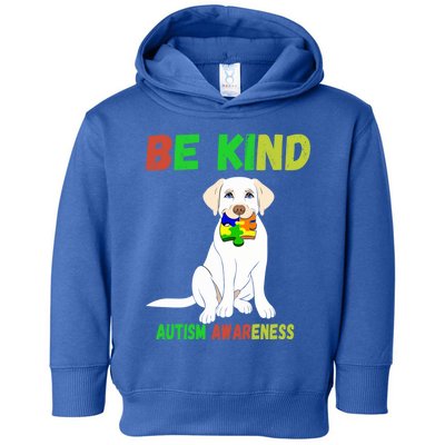 Autism Awareness Be Kind Cute Gift Toddler Hoodie