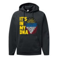 Antigua And Barbuda Dna Roots Antiguan Barbudan Flag Performance Fleece Hoodie