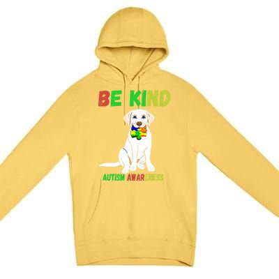 Autism Awareness Be Kind Gift Premium Pullover Hoodie