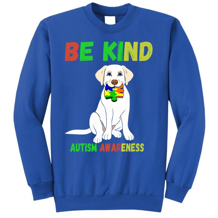 Autism Awareness Be Kind Gift Sweatshirt