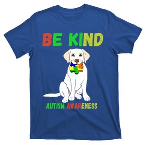 Autism Awareness Be Kind Gift T-Shirt