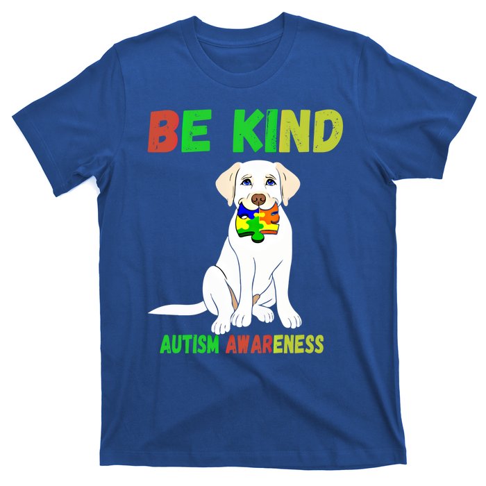 Autism Awareness Be Kind Gift T-Shirt